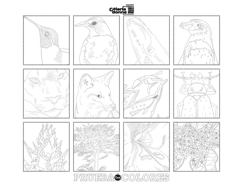 Libro Fauna y Flora por Vicky Aguirre