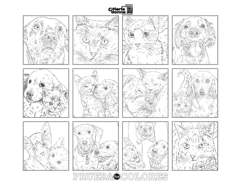 Libro Perros y Gatos por Cata Fuenzalida